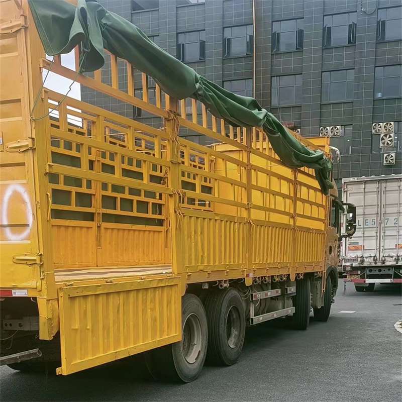 河南周口扶沟县至宜宾货运专线一站式物流服务，让货物畅行无忧